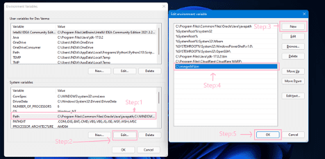 Adding the Path and applying changes in Environment Variables 